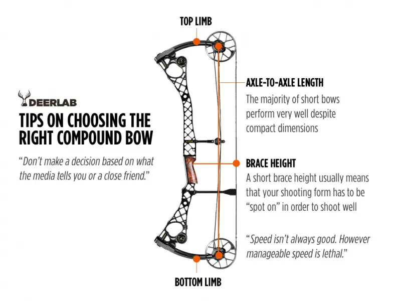 Choosing the Best Compound Bow