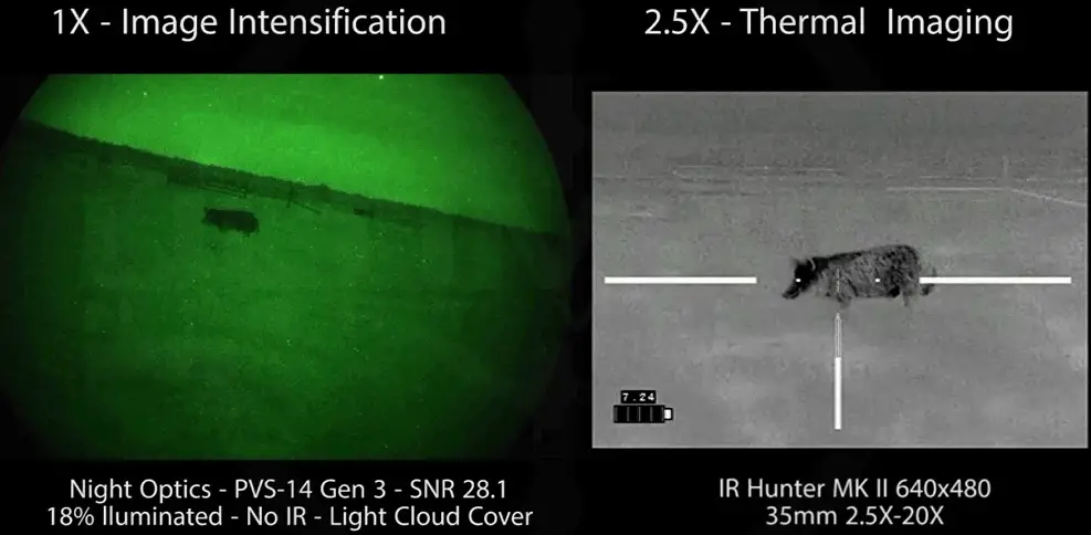 Thermal Imaging vs. Night Vision