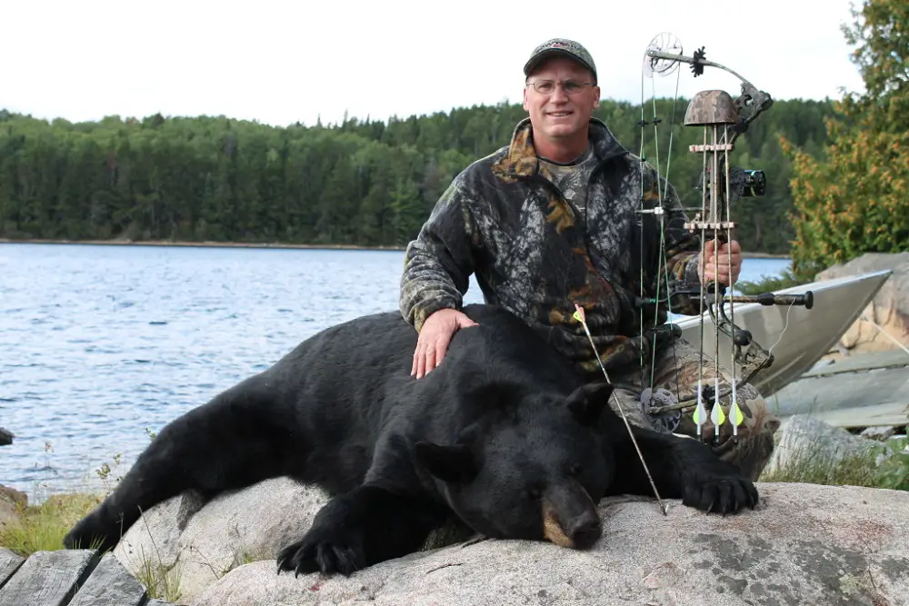 Black Bear Hunting Tips
