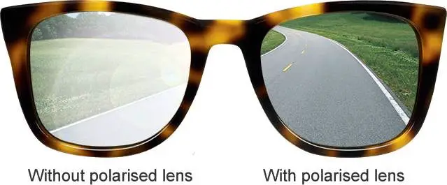 Polarized vs. Non-Polarized Sunglasses