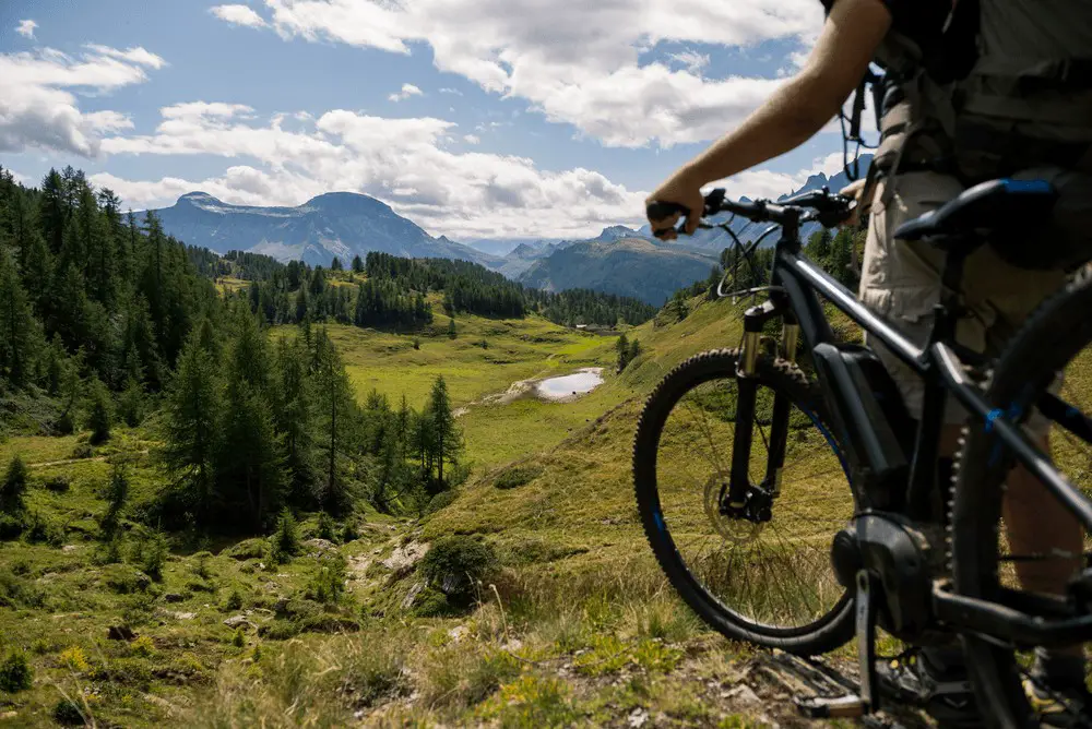 How to Choose the Best Electric Mountain Bike