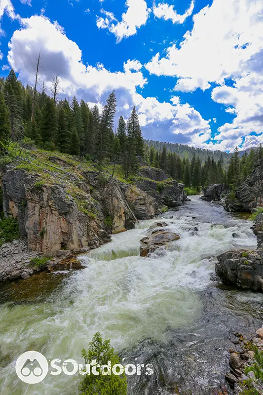 Gushing river in Idaho wherein the nearest forest holds a growing popularity for elk hunting