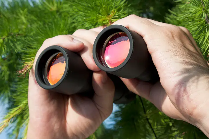 Compact Binoculars - Prism Types