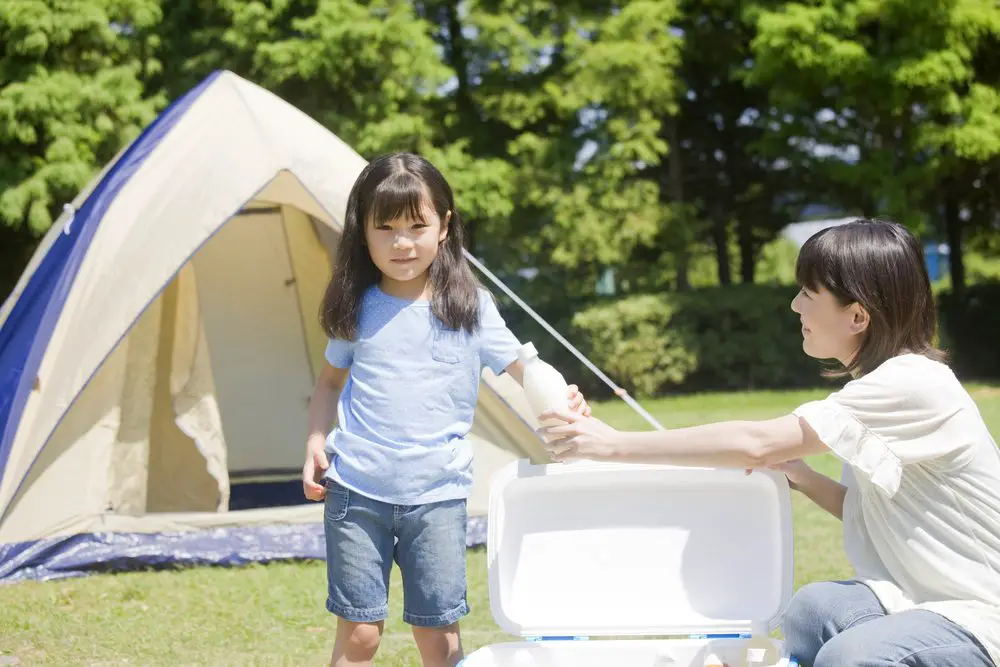 Best Coolers for Camping