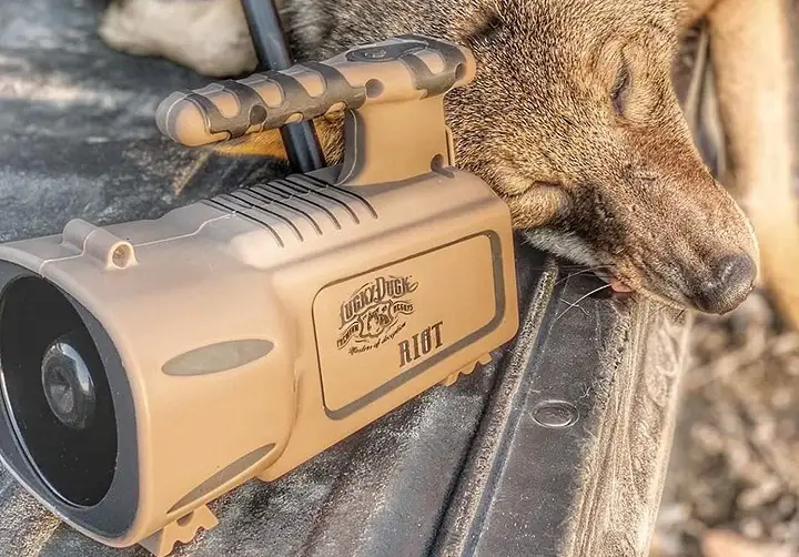 Does More Spending Mean More Quality for Coyote Calls