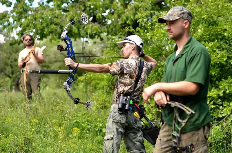 Shooting Compound Bow In Field