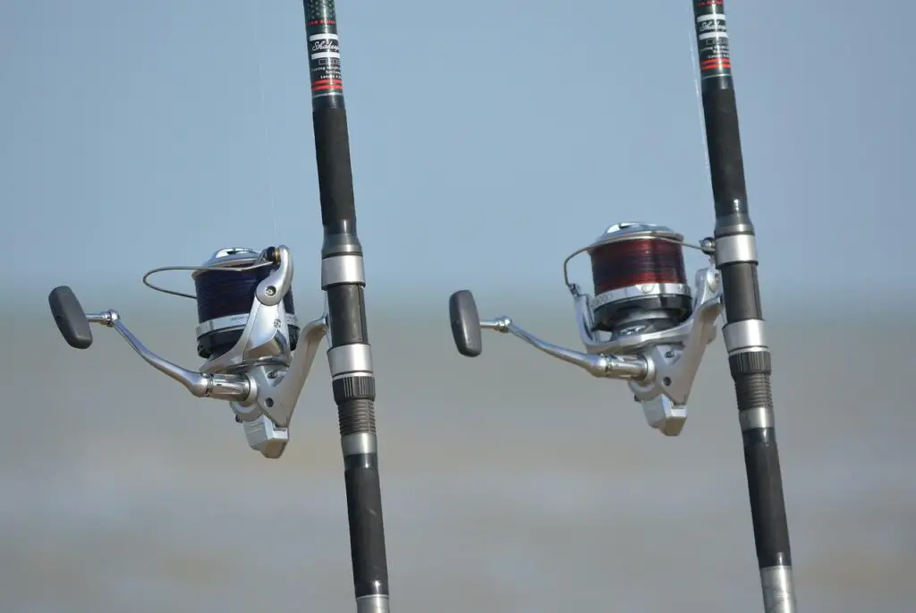 Rod weight comparison of two fishing rods