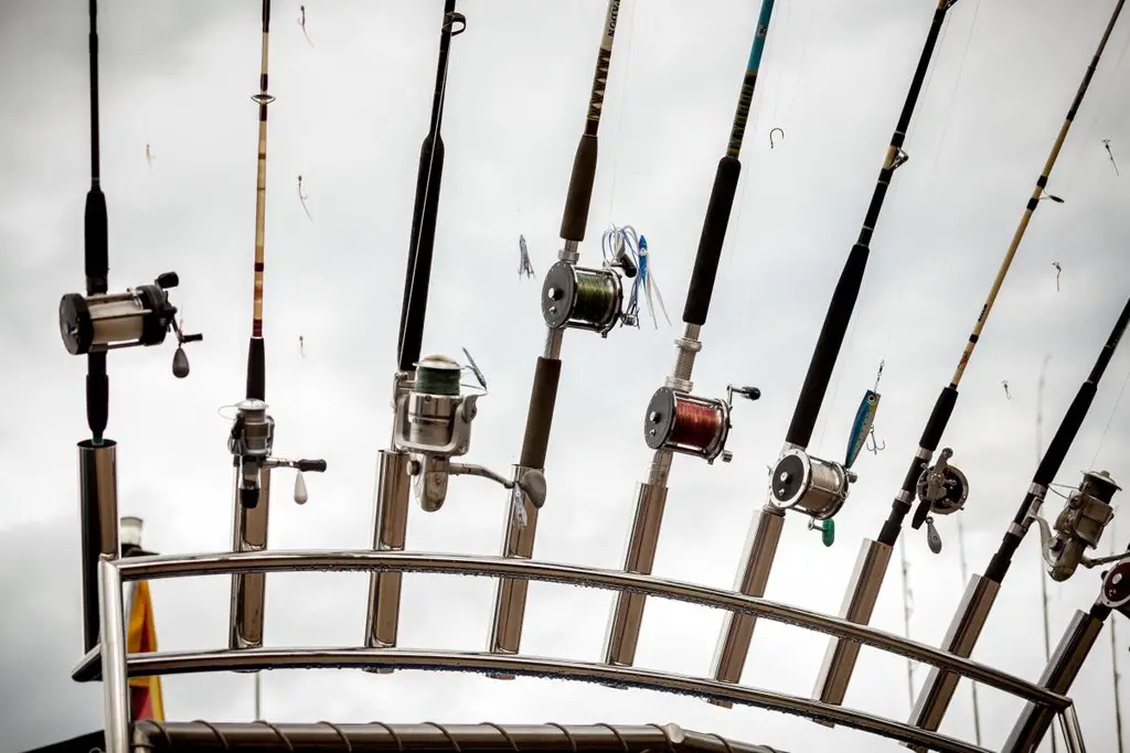Fishing Rod Types: All You’ll Ever Need To Know