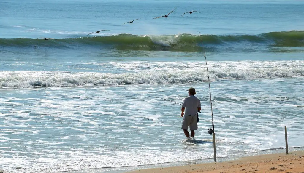 A man fishing near the beach using surf rods