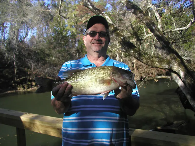 A man holding a bass fish caught by using a chatterbait lure