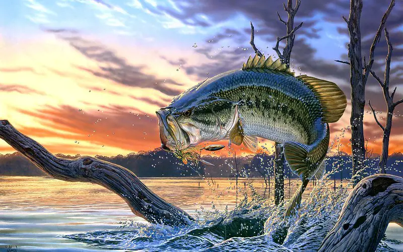 Digital image of a large mouth bass fish jumping over the lake