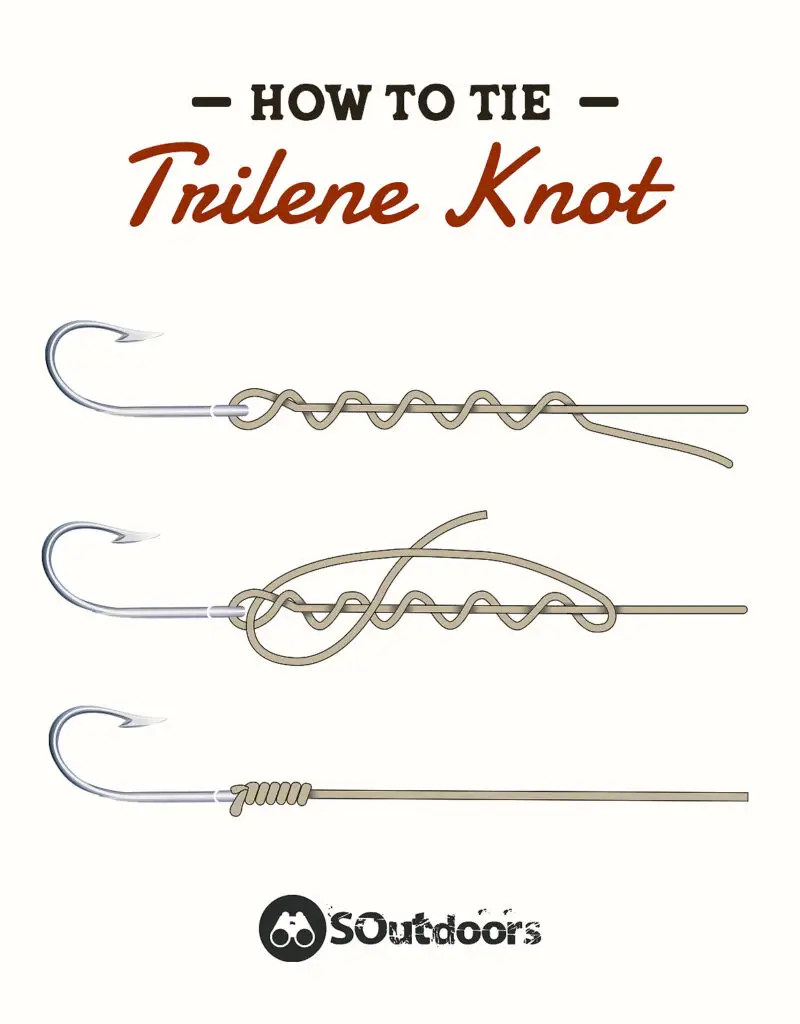 How to tie a trilene knot step by step infographic