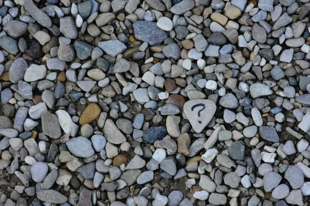 The only rock among the pebbles that has a question mark sign written on it