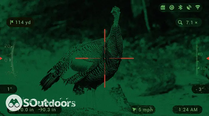 Spot turkeys with ease using thermal scopes