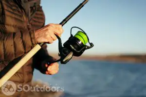 What Is The Best Color Braided Fishing Line For Bass?