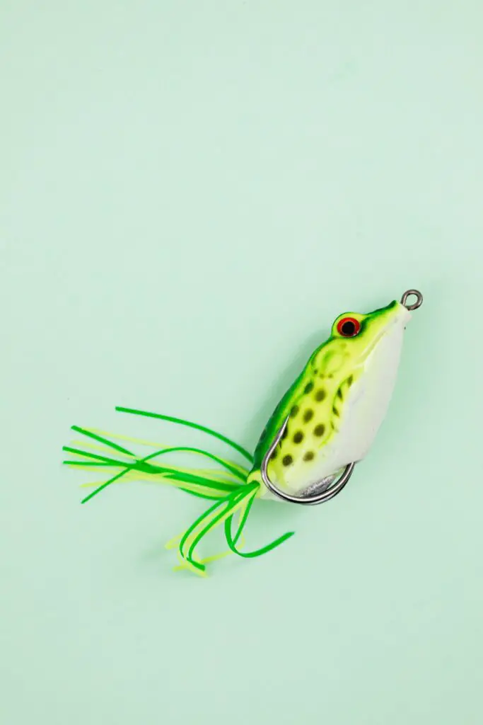 Frog lure with a fishing hook