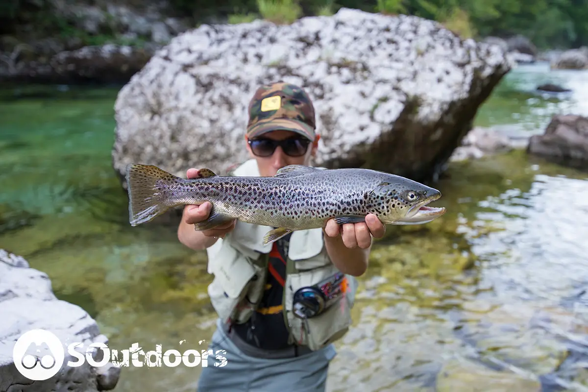 How To Catch Trout Without Fly Fishing: A Complete Guide