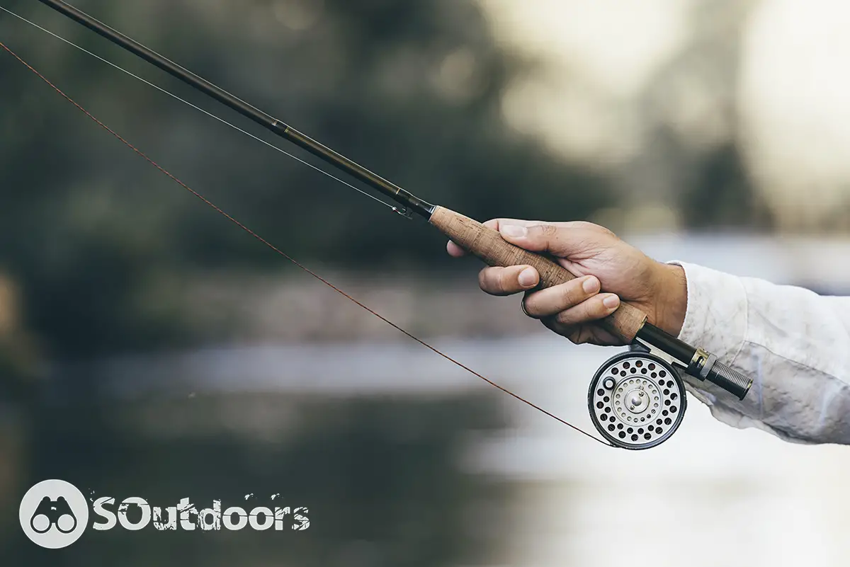 How To Choose A Fly Rod: All You Need To Know