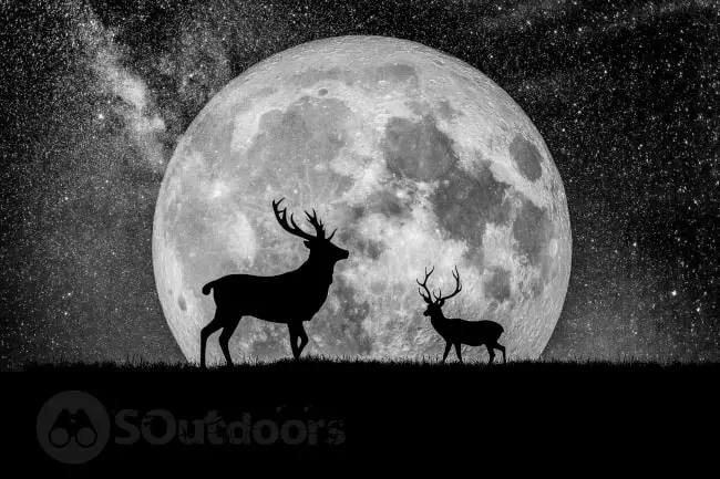 Two deer with the moon in the background